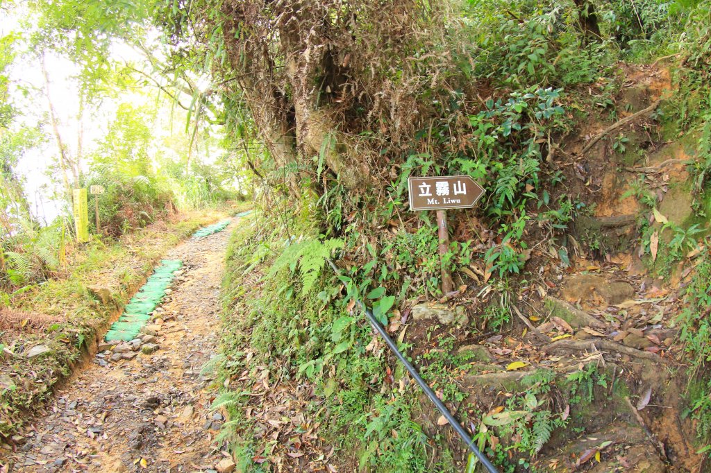 [花蓮中級山] 砂卡噹三雄 清水大山_894235