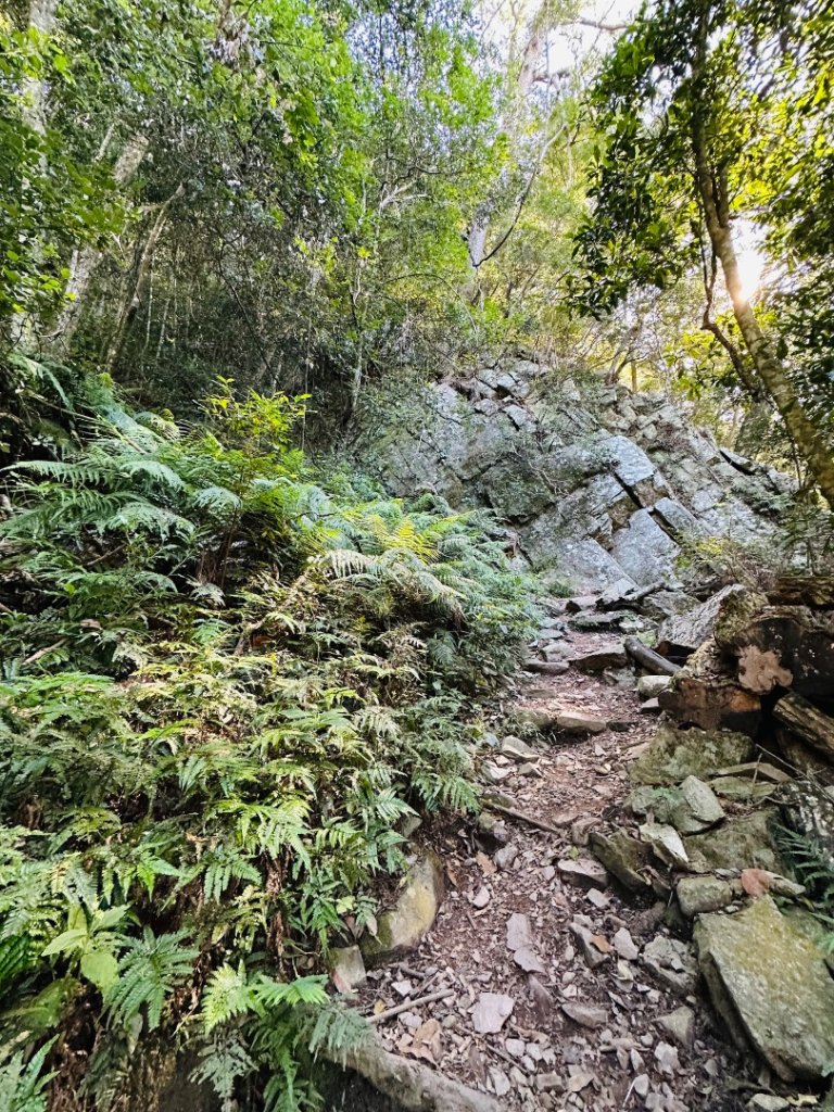 波津加山_2845996