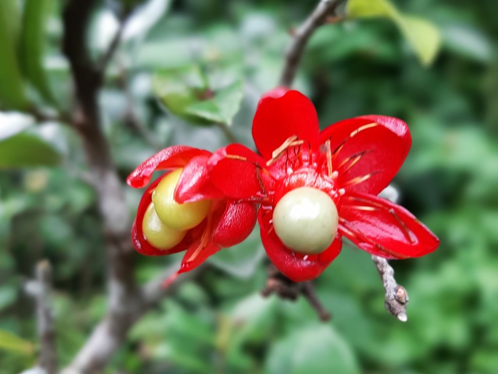 月亮忘記了〡最孤獨的時候，最溫暖的陪伴_687160