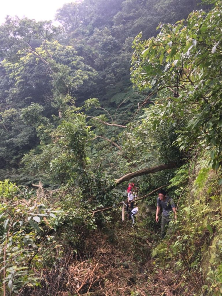 淡水-巴拉卡水管路上向天池下北投_291202