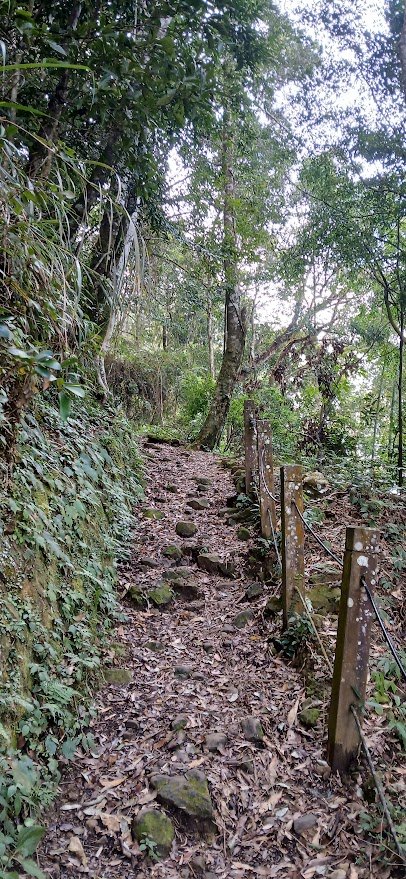 2025 1/27 石壁山_2700015