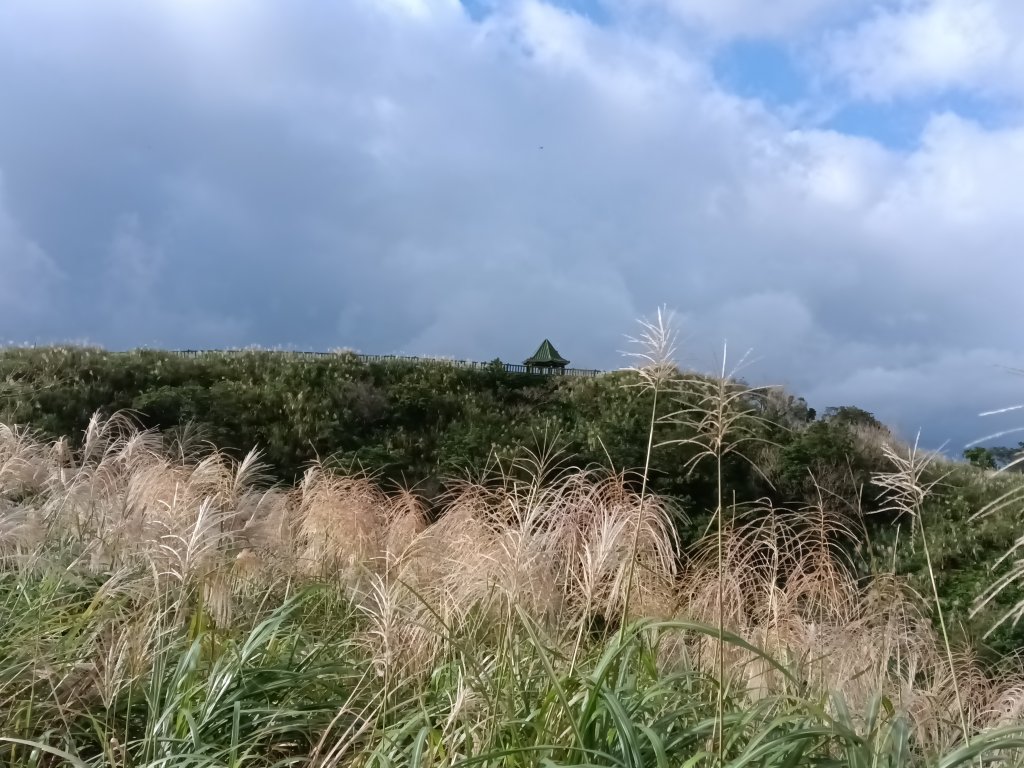 雙溪區不厭亭+草山公路+牡丹山+不厭亭+金字碑古道(探幽亭)+三貂崙+不厭亭8字走_2941899