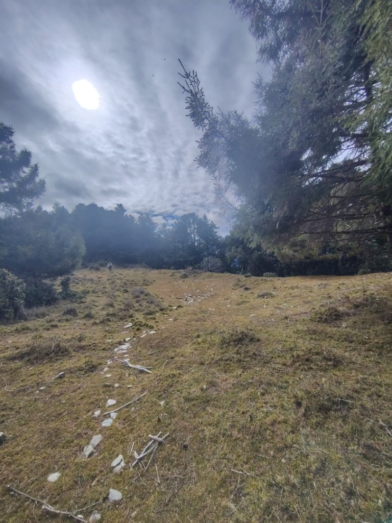 東埔走八通關古道訪龍貓公車繞對關山O型_2963034