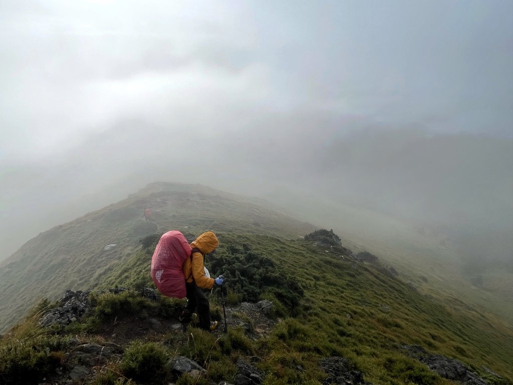 奇萊東稜 20241019-1025_2641778