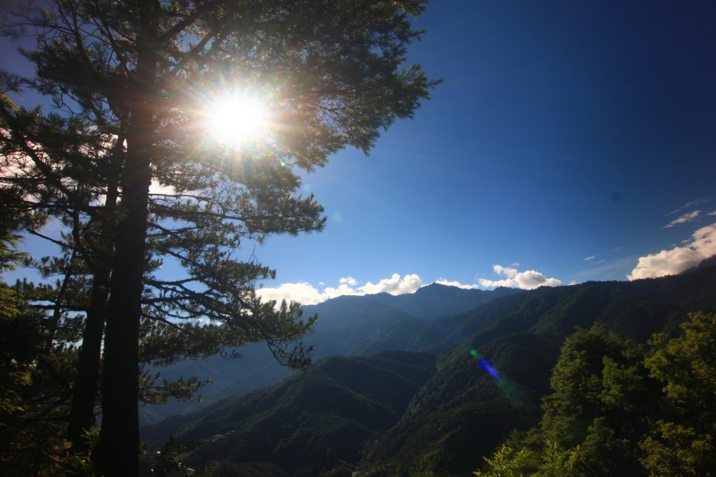 羅(葉尾山)馬(武佐野郡山)縱走封面圖