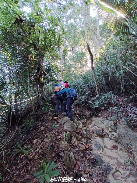 【新竹峨嵋】古樸風情。 獅頭山步道群O型_2397094
