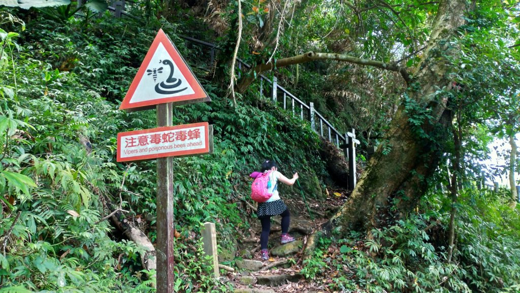 小百岳【崁頭山】_915691