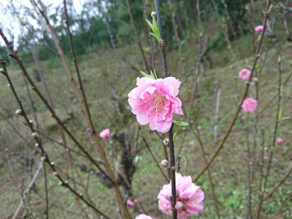 銀河洞瀑布 2017.02.28_140120