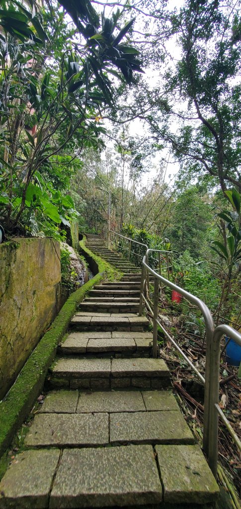 2024-11-23臺北大縱走第六段：中華科技大學至捷運麟光站_2653442