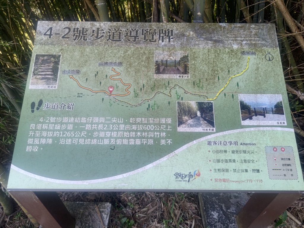 華山4-2號步道上雲嘉連峰_2579315