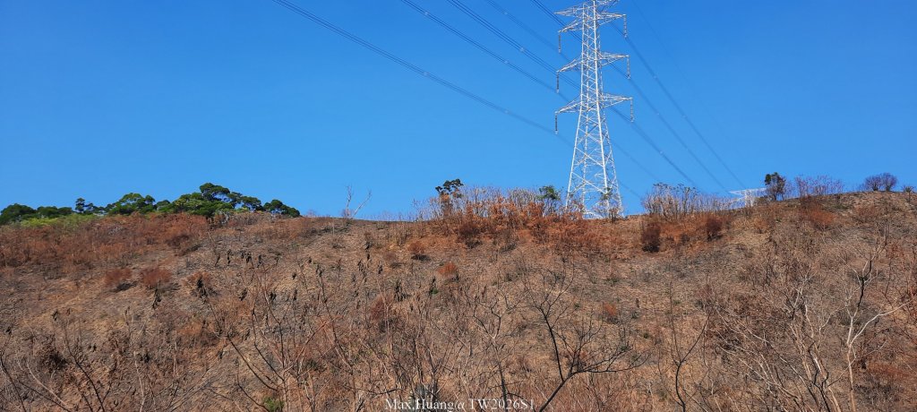 《台中》短暫暖陽｜龍井竹坑南寮步道O繞20260104_2976409