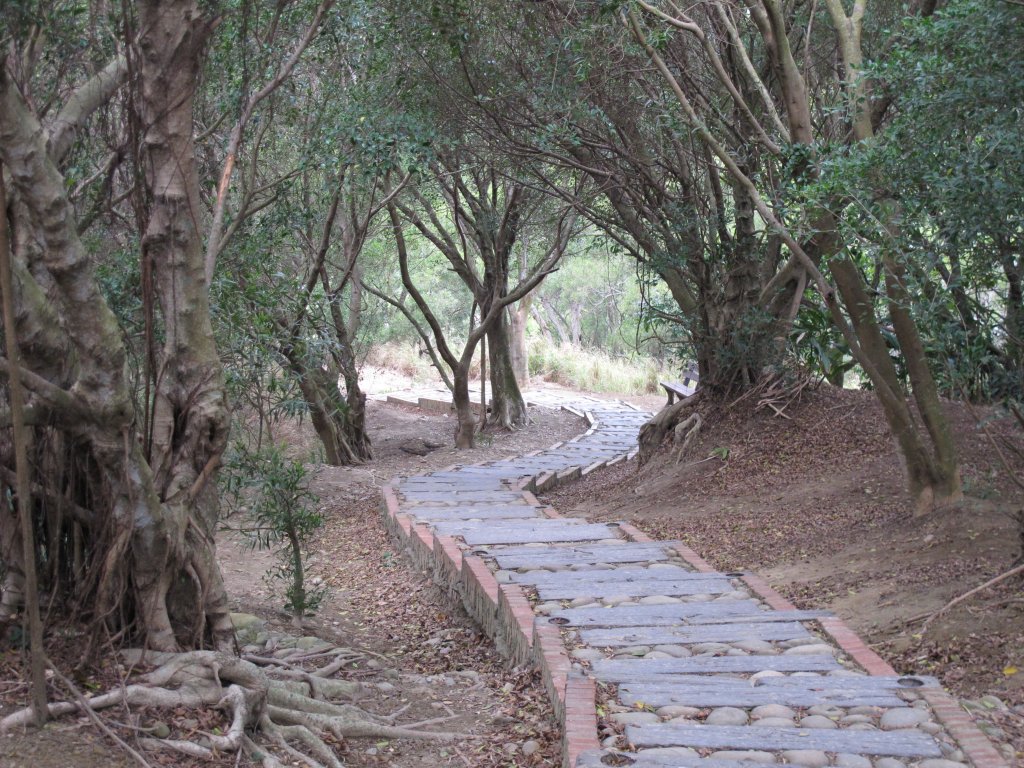 2020-03-06 大肚萬里長城步道_868653