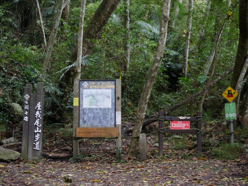 屋東縱走—麗陽線_1114602