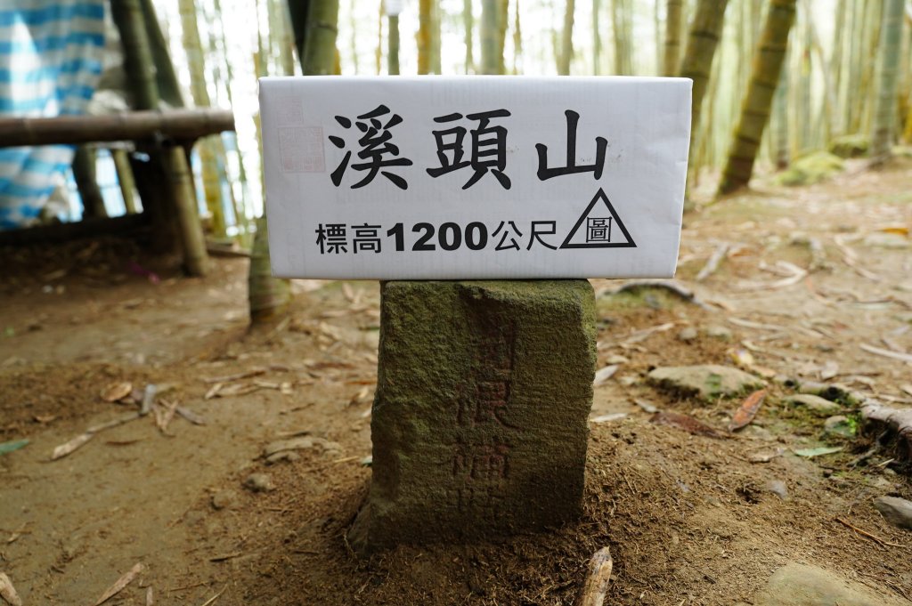南投 鹿谷 溪頭山、竹崙山、志騰山封面圖
