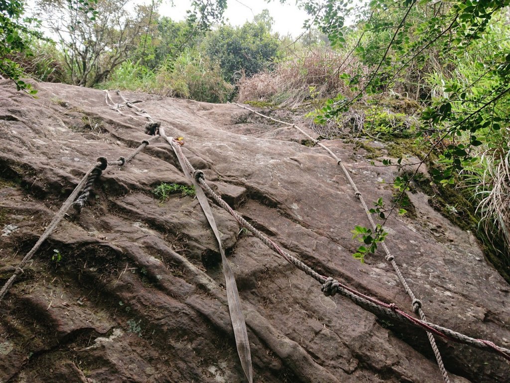 哈加縱走（哈堪尼山、加里山）_1051385