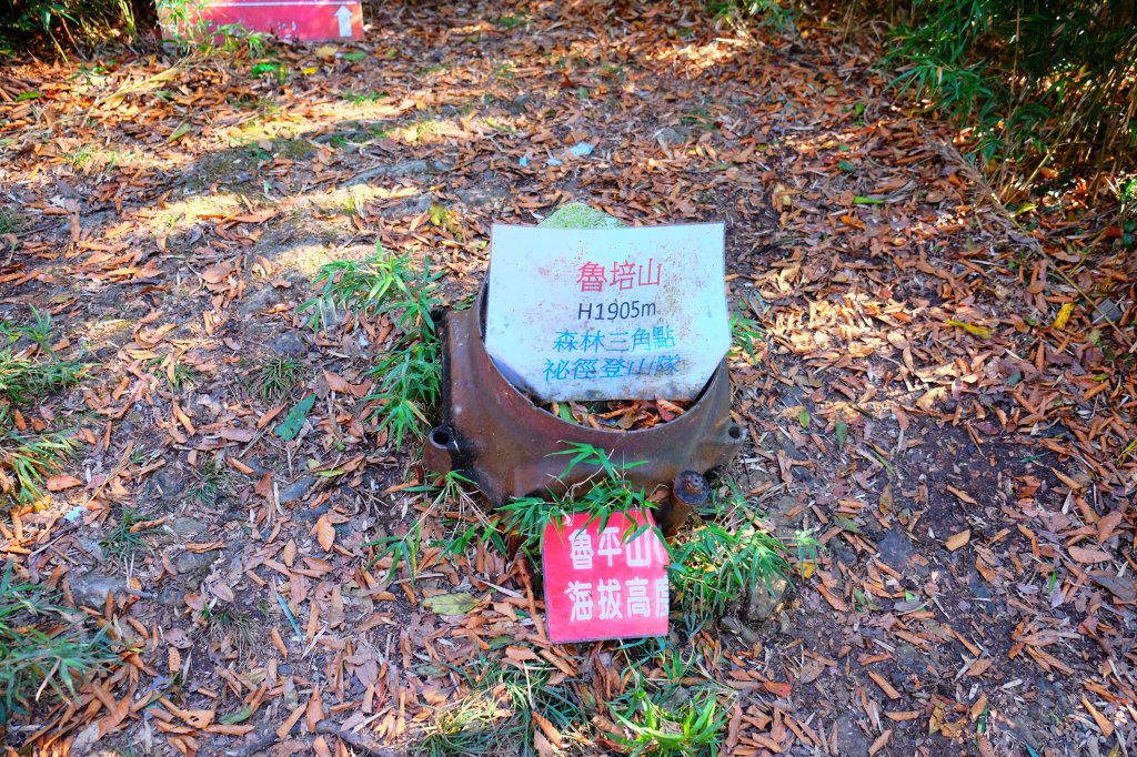山毛櫸之旅--魯培山_733783
