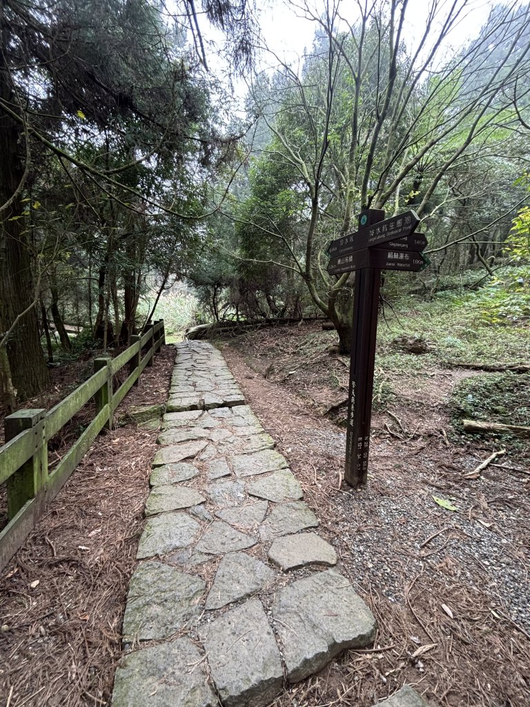 陽明山東西大縱走-東段_2984549