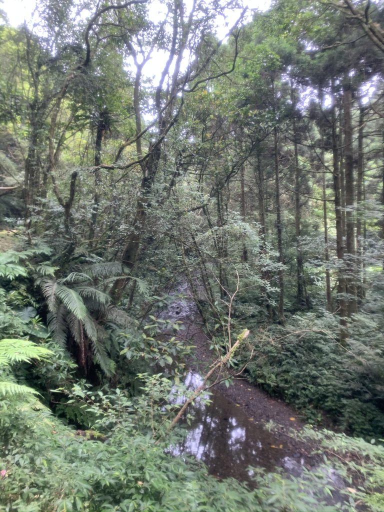 坪溪古道+太和山連走_1048924