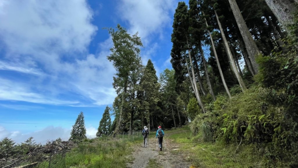 1100812船型山林道3k.稍來山封面圖