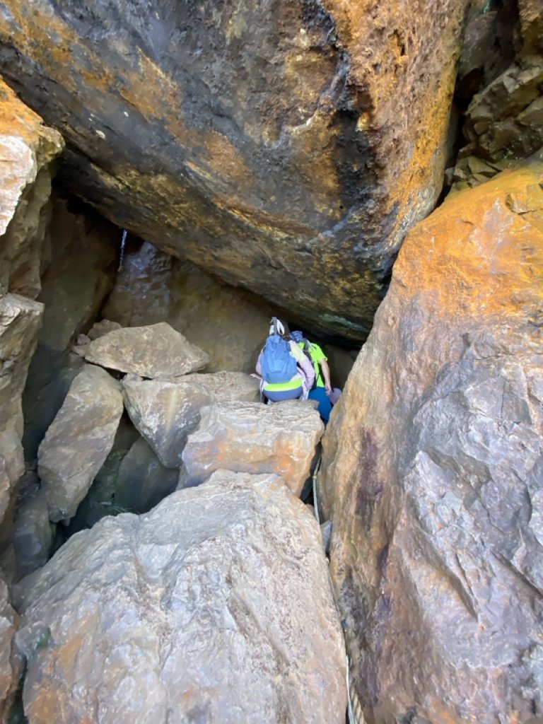 2023/11/23 茶壺山 半平山 燦光寮山 O繞_2389148