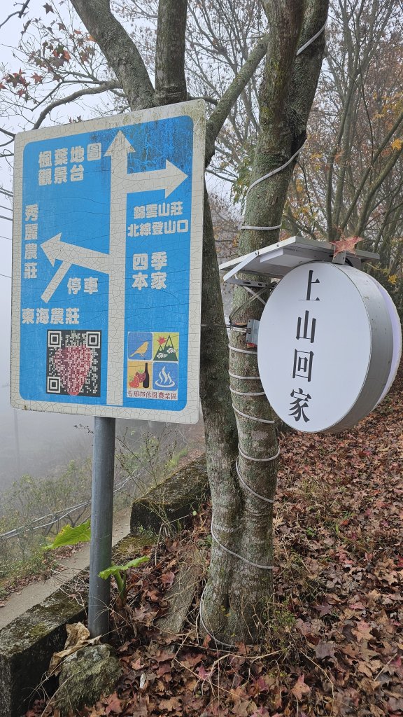 【馬年走馬山，馬到就成功！】🐴馬年馬路要走，馬那邦🏔️也要登！O繞11K，爬升900M，🥾腿在_2977168