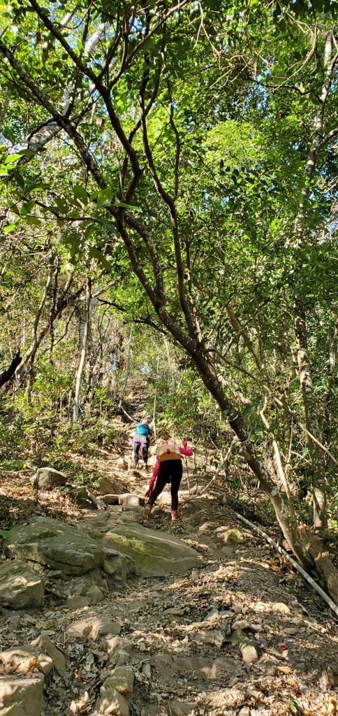 谷關七雄_屋東縱走_1921294