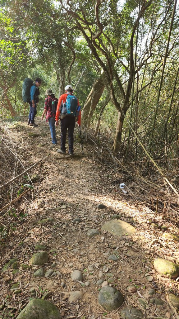 112/1/8苗栗縣頭屋鄉曲洞宮-墨硯山北峰-墨硯山-曲洞宮O型_1992878