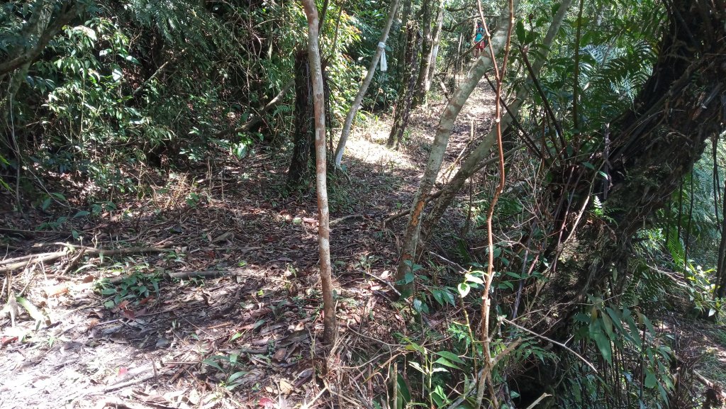 疾速礁溪試跑_880754