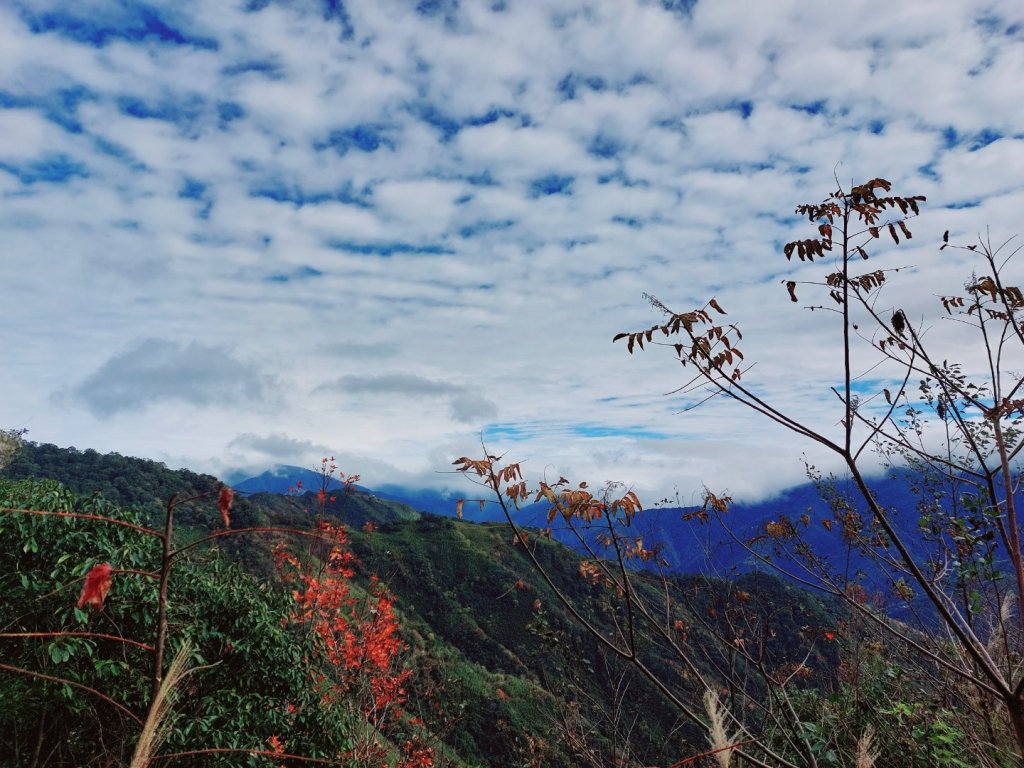 李崠山封面圖