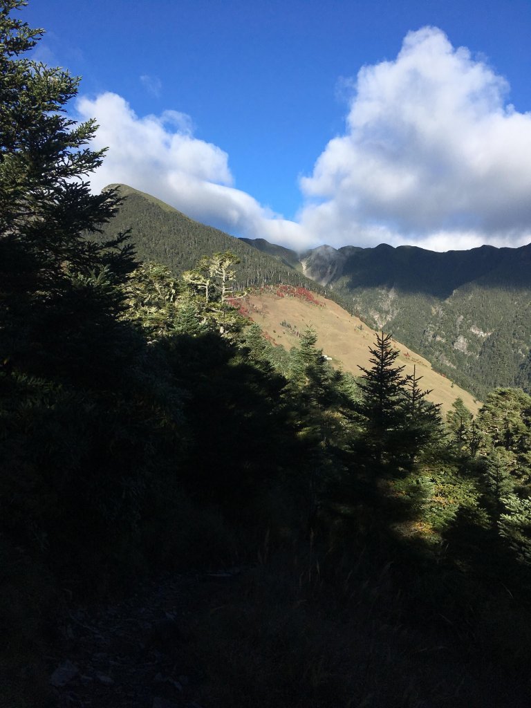 雪山 不下雪_533089