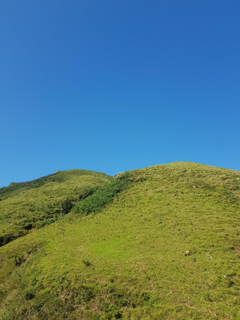 季節限定~草嶺古道_463413