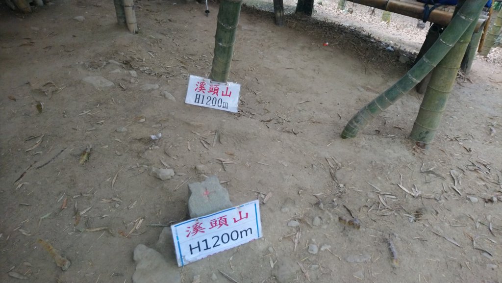 溪頭山、竹崙山、志騰山3山連走_1484390