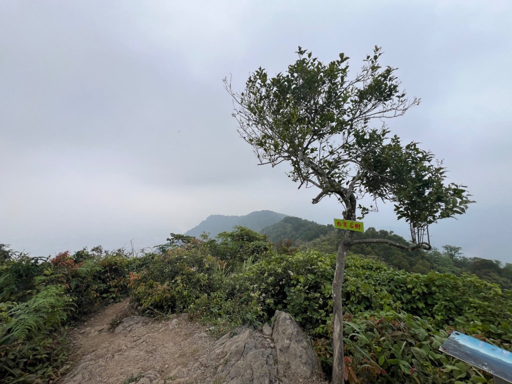 白賓山_2755686