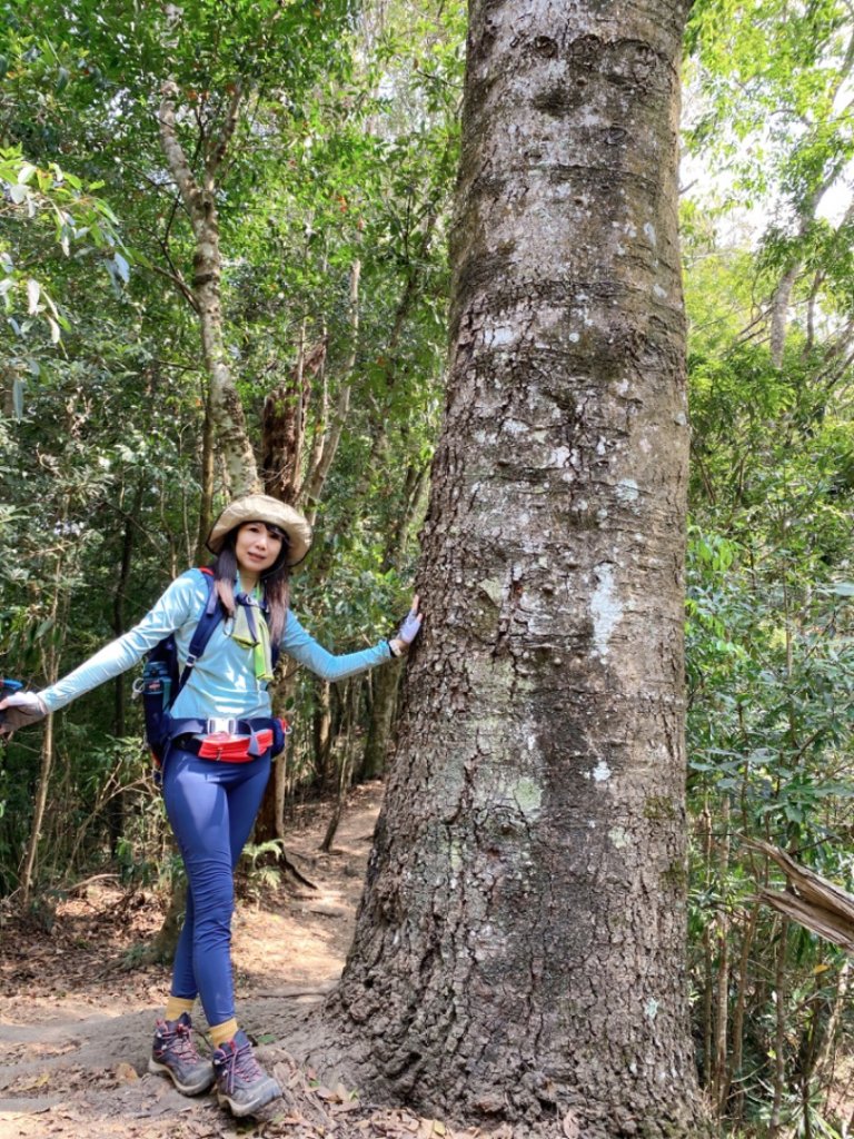 唐麻丹山一日爬蝴蝶谷瀑布_2073112