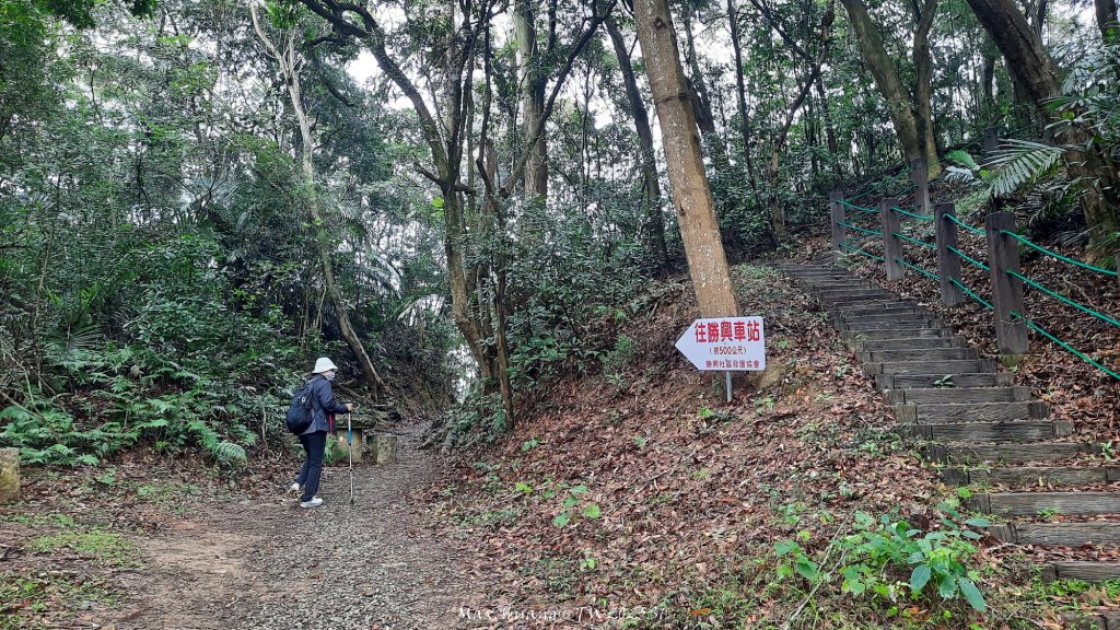 《苗栗》台鐵舊山線｜三義勝興鐵道覓境及挑柴古道O繞20250119_2693539