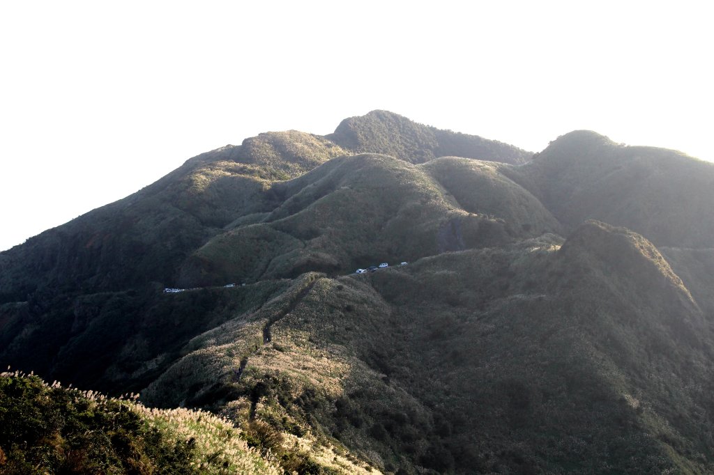 【金瓜石】漫山芒花怒放浪漫，礦山藍海奇景夢幻！_2964191