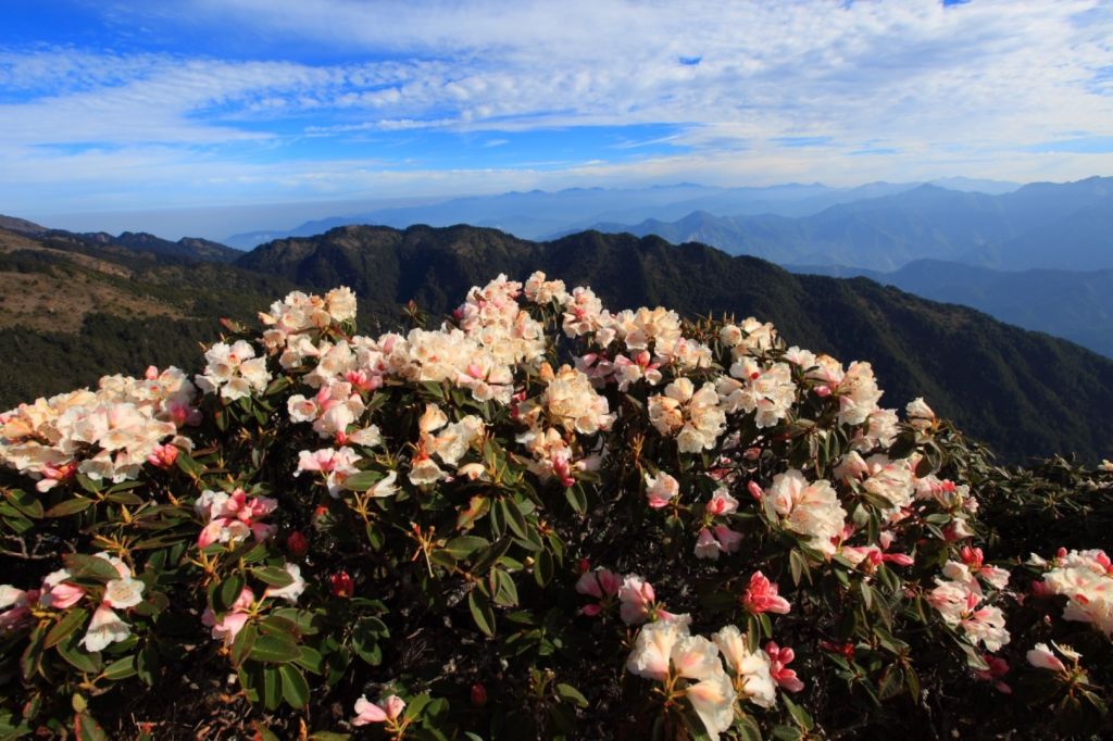 干卓萬群峰_349546