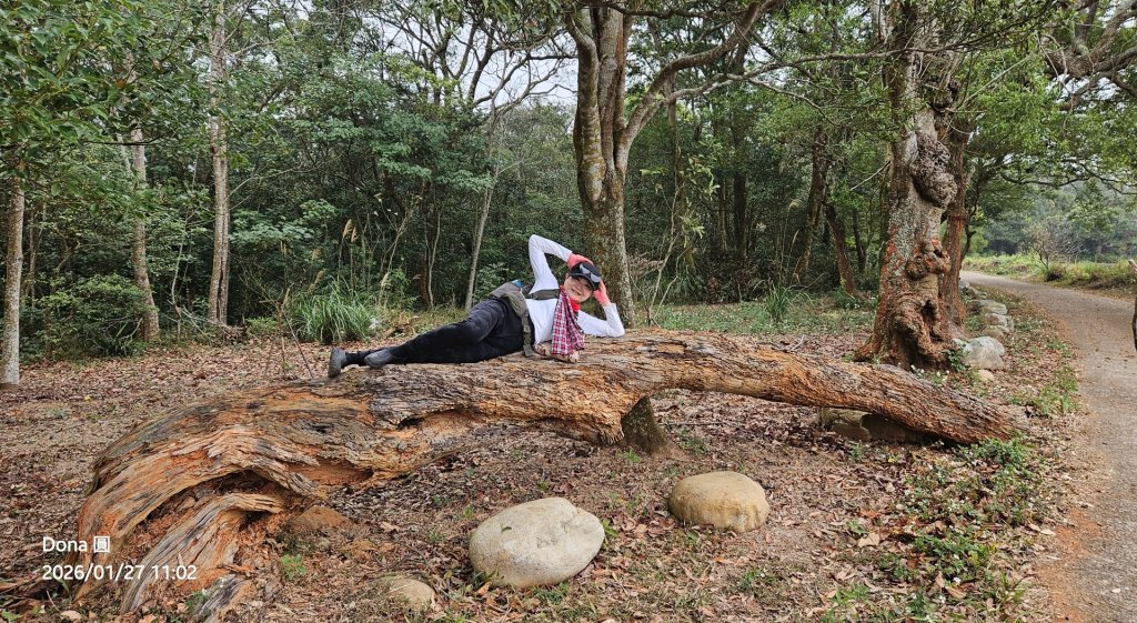 20260127三通嶺山.三義山(大桁茂山).慈濟山.大坪山大O走_2989907