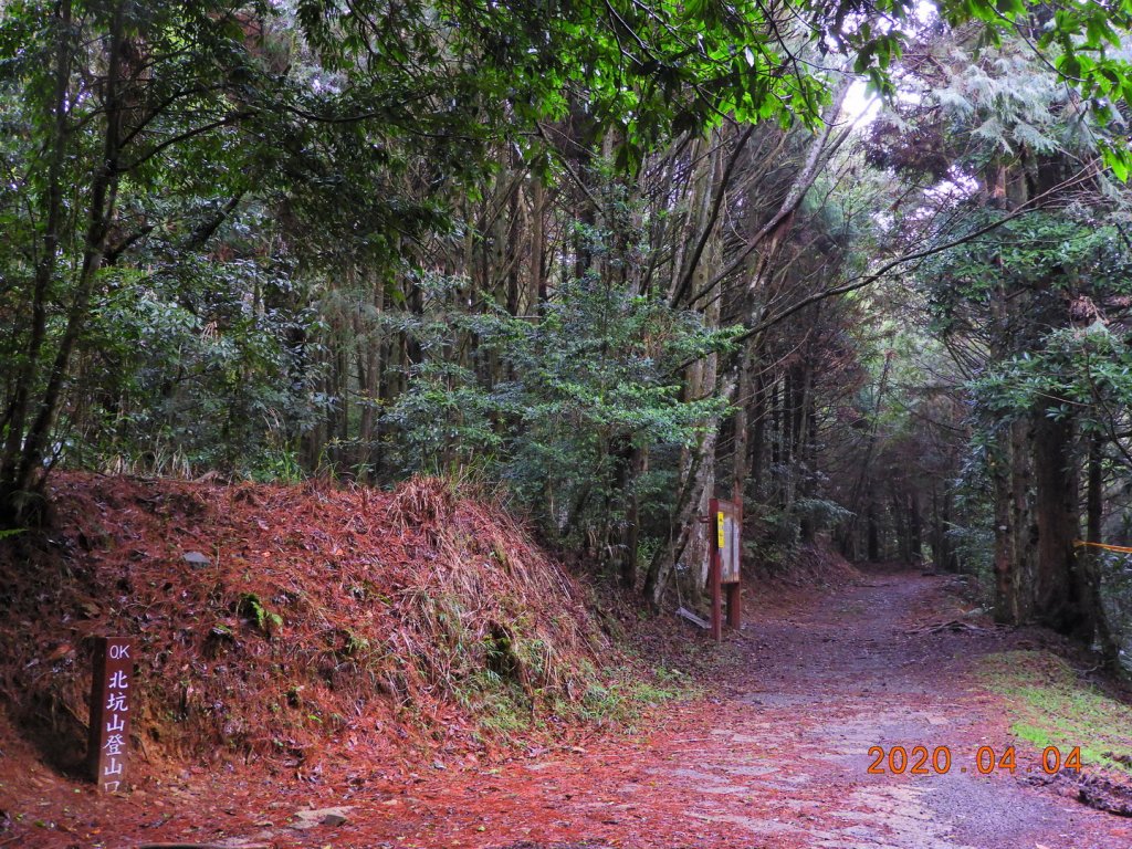 苗栗 泰安 北坑山_903683