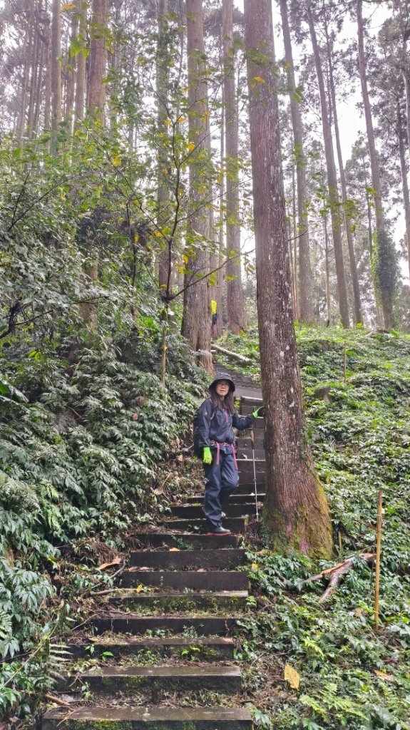 神阿縱走~台灣難抵極~大塔山_2971397