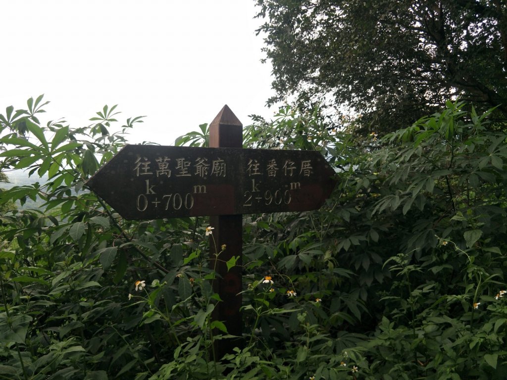 林安森林公園步道(大寮山步道)_1464926