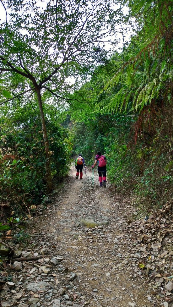 小百岳【尾寮山】_905239