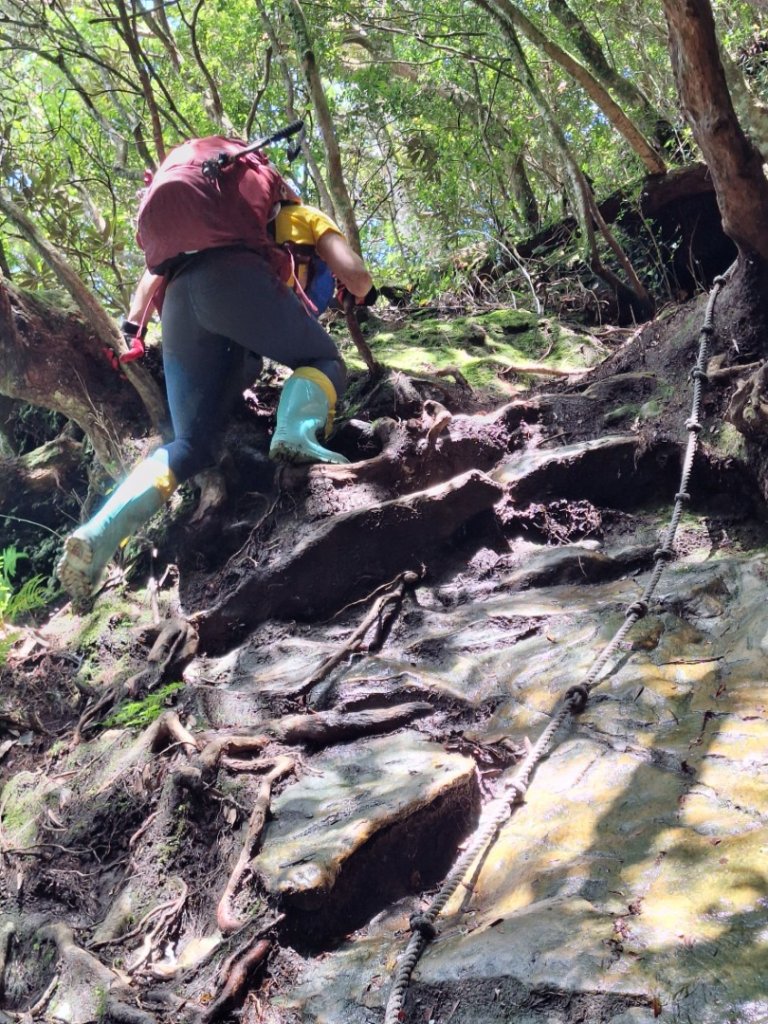 嘎色鬧上那結山_2575547