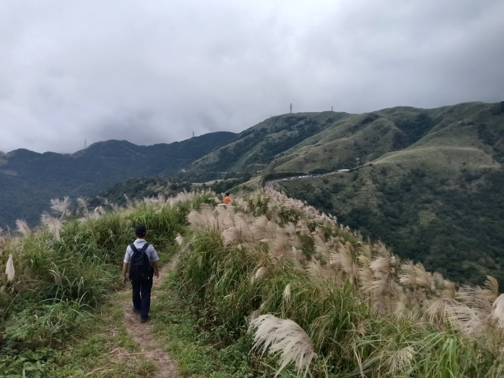 雙溪區不厭亭+草山公路+牡丹山+不厭亭+金字碑古道(探幽亭)+三貂崙+不厭亭8字走_2941967