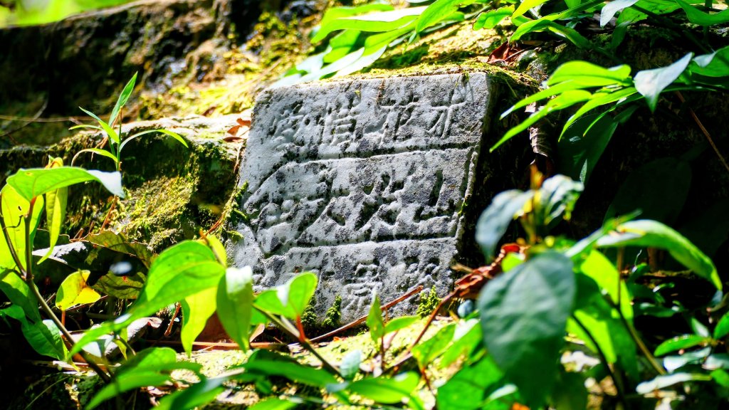 汐止大尖山封面圖