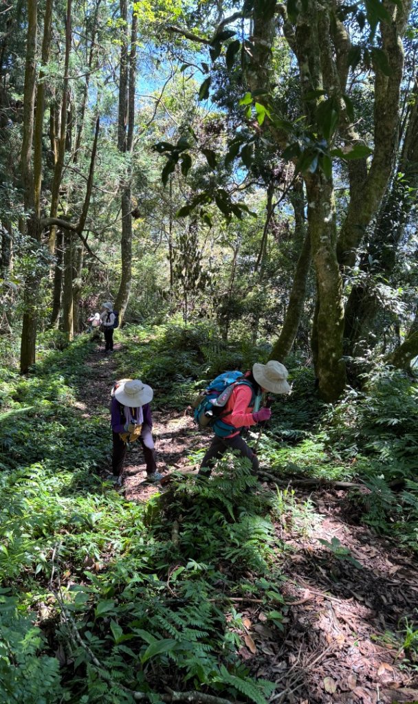 瞭望台-瓊山-望美山-獵人古道_2887718