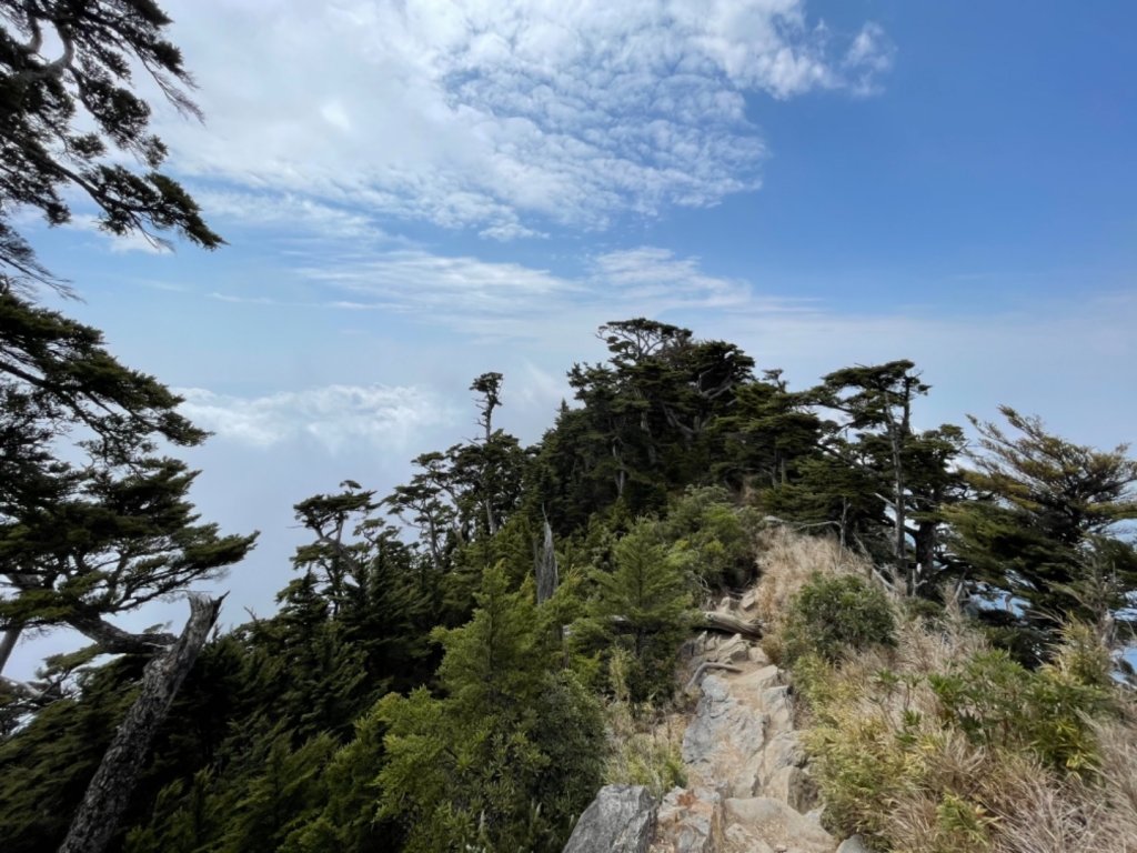 見證最美麗北大武山雲海、鐵杉_1318939