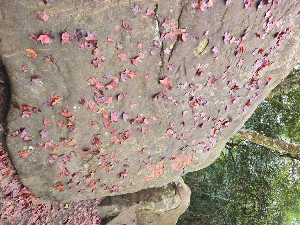 馬那邦山之雲海／雲瀑／楓紅／太陽琉璃光_2676347