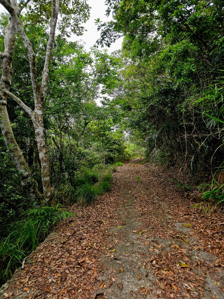 加奈美山-小百岳#95-台東縣大武鄉_2776998