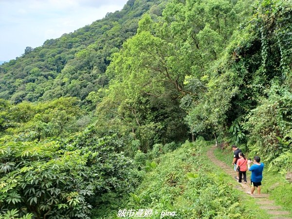 【花蓮】 楓林步道好視野x撒固兒步道、撒固兒瀑布超沁涼_2247924